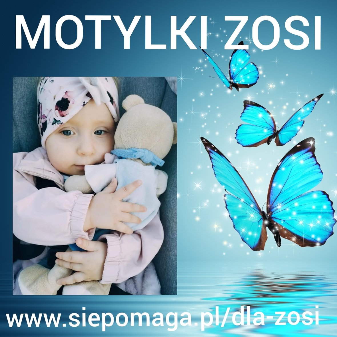 Zdjęcie główne wgrane przez użytkownika