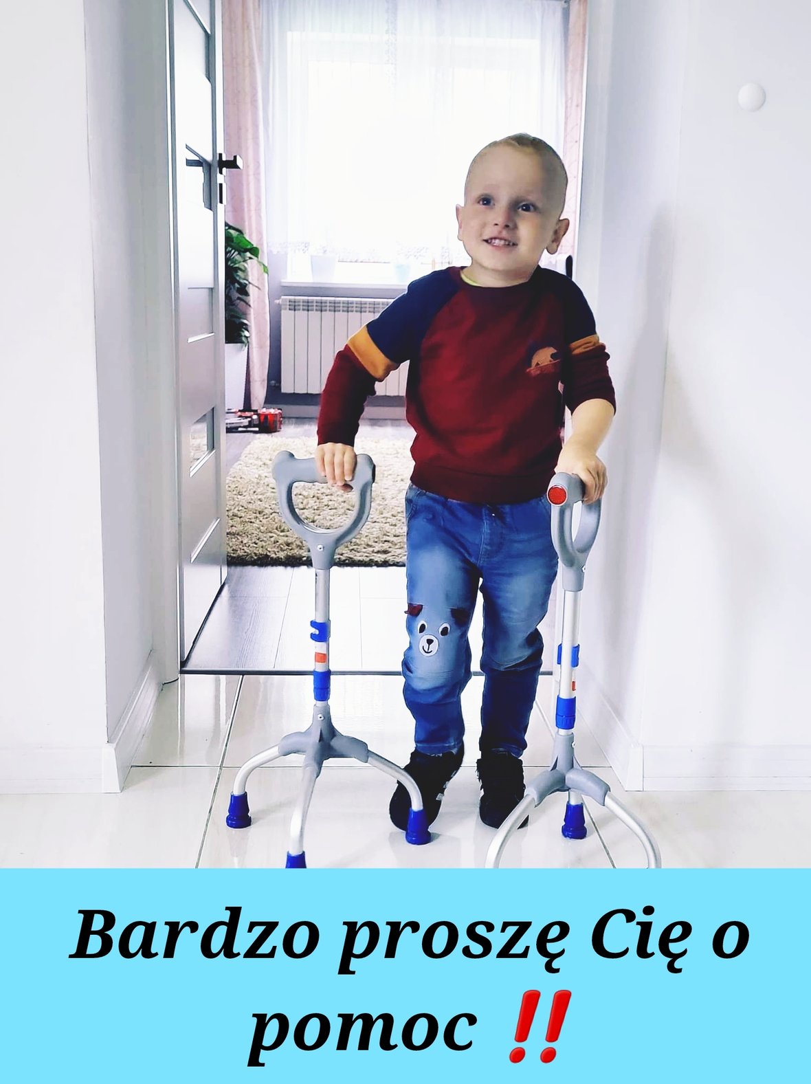 Zdjęcie główne wgrane przez użytkownika