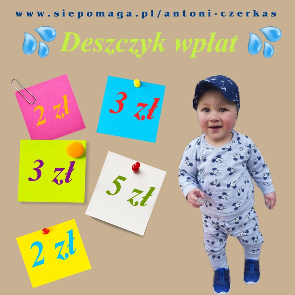 Zdjęcie główne wgrane przez użytkownika