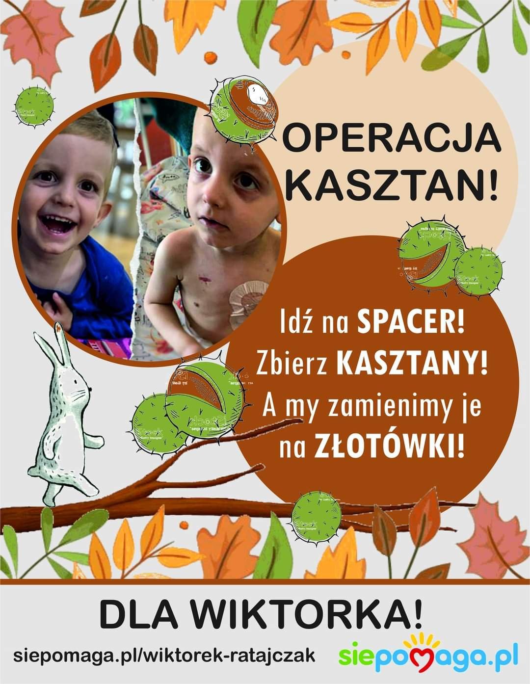 Zdjęcie główne wgrane przez użytkownika