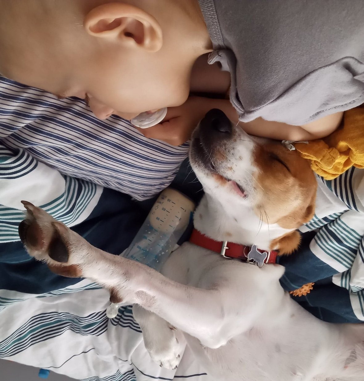 Zdjęcie główne wgrane przez użytkownika