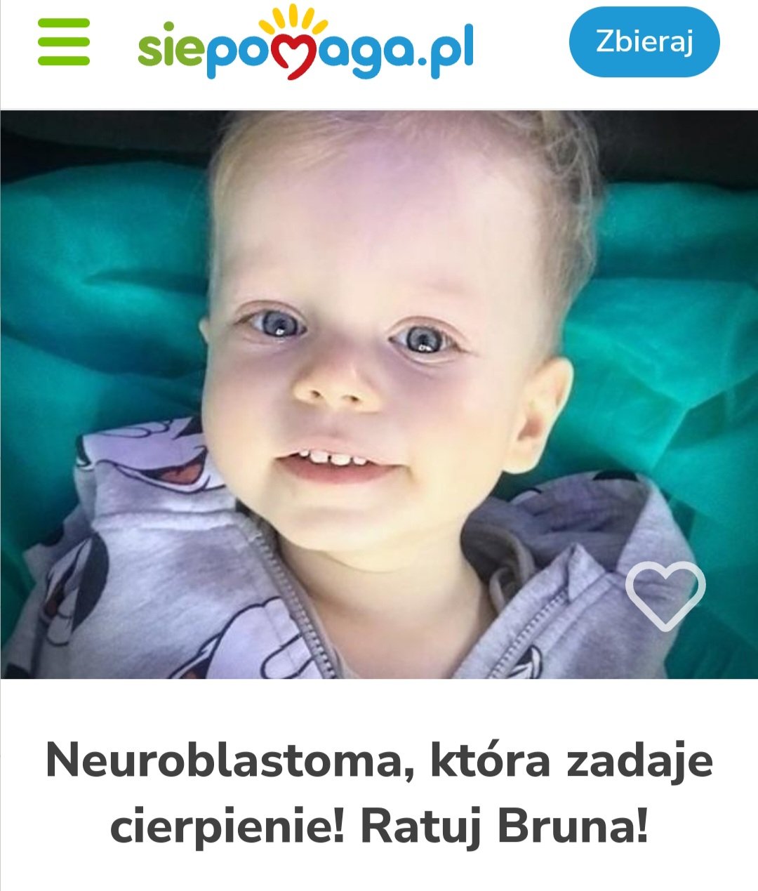 Zdjęcie główne wgrane przez użytkownika