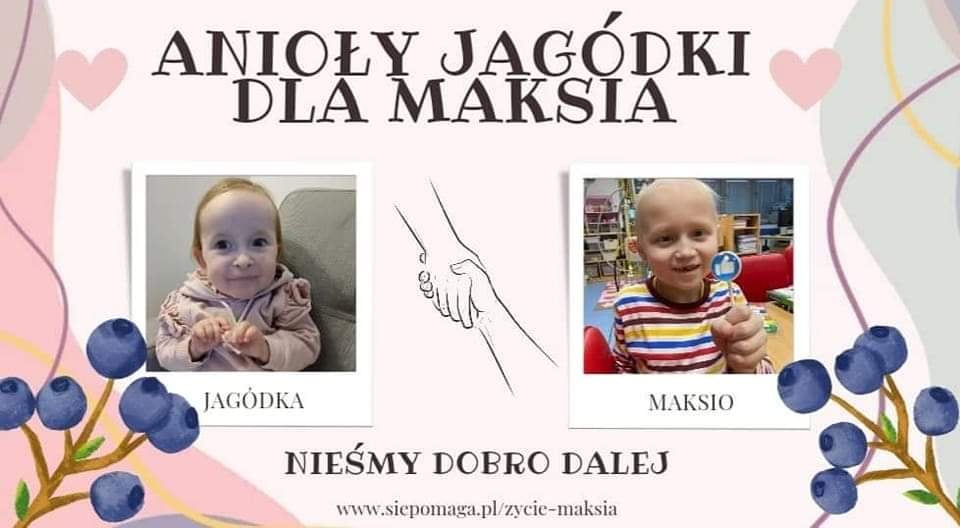 Main photo uploaded by the user