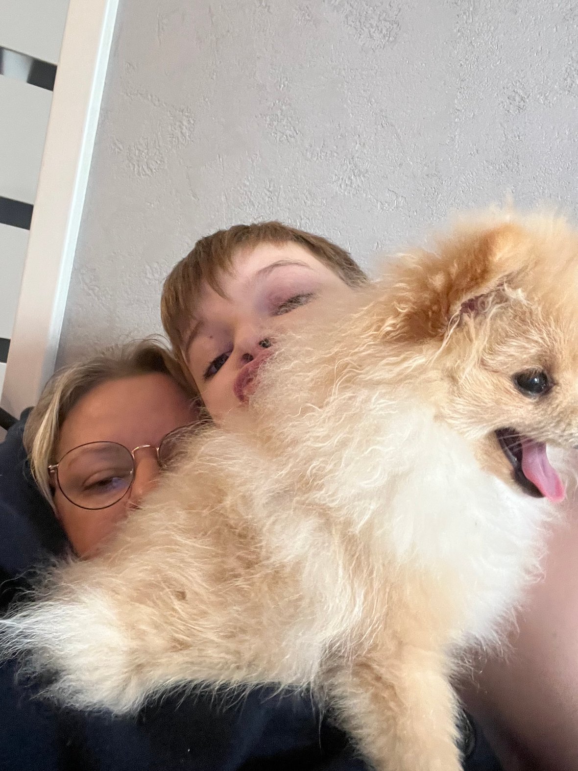 Zdjęcie główne wgrane przez użytkownika