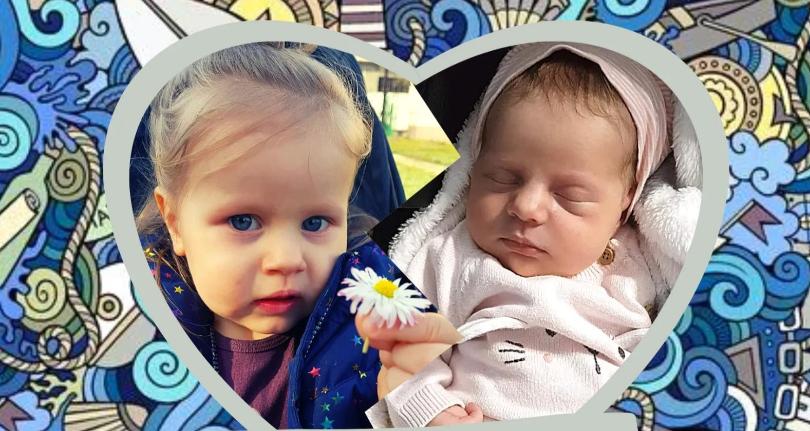 Zdjęcie główne wgrane przez użytkownika