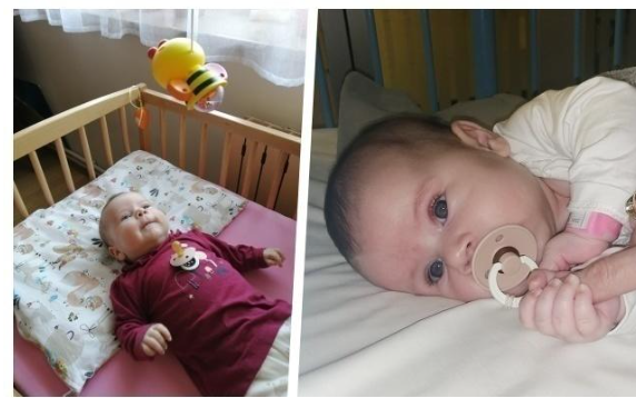 Zdjęcie główne wgrane przez użytkownika