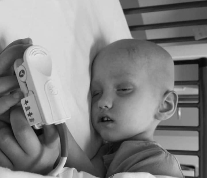 Zdjęcie główne wgrane przez użytkownika