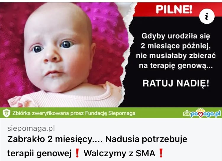 Zdjęcie główne wgrane przez użytkownika