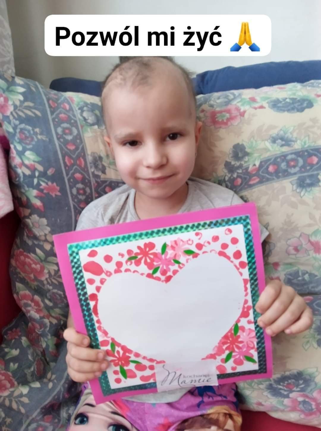 Main photo uploaded by the user