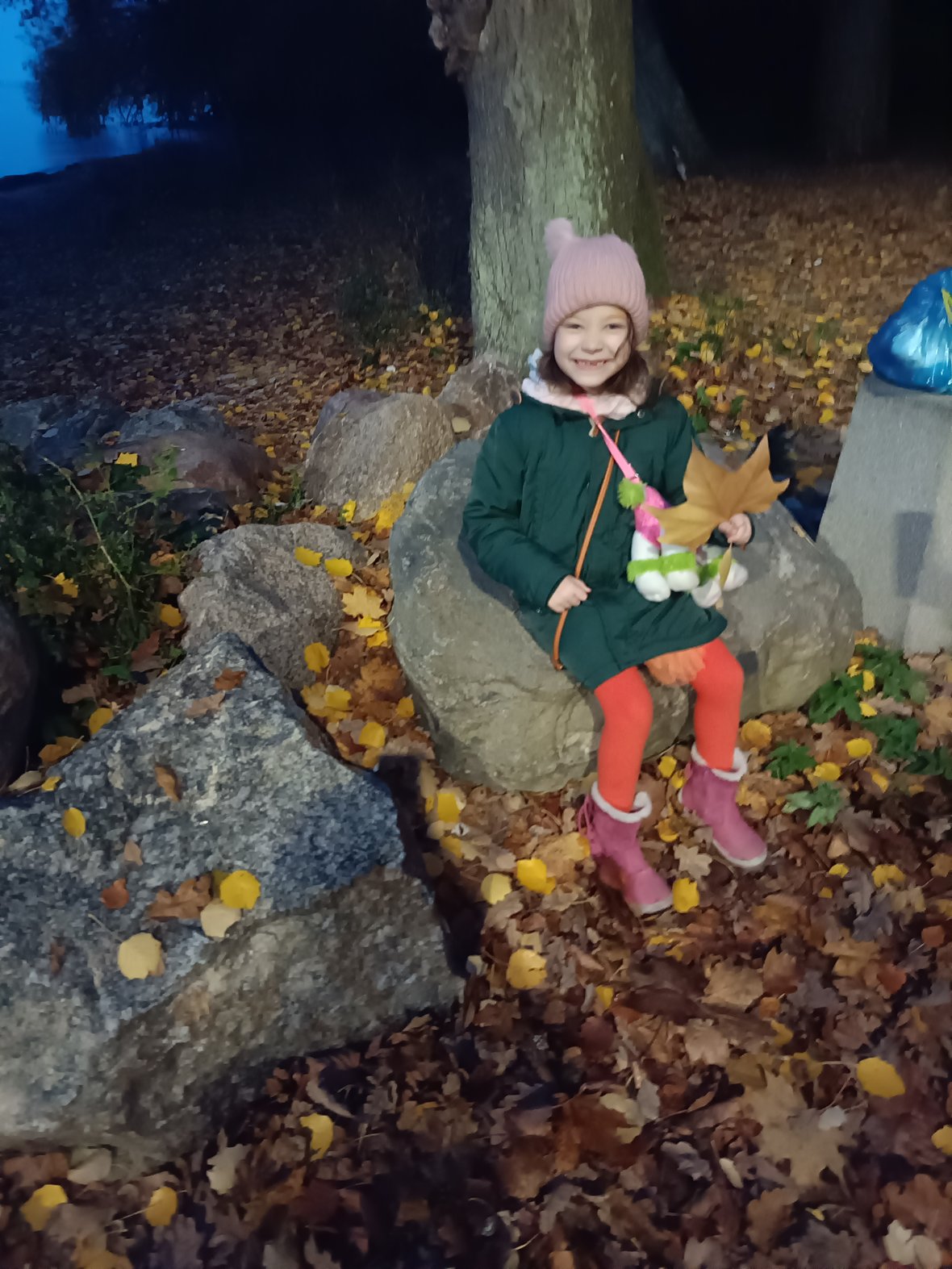 Zdjęcie główne wgrane przez użytkownika