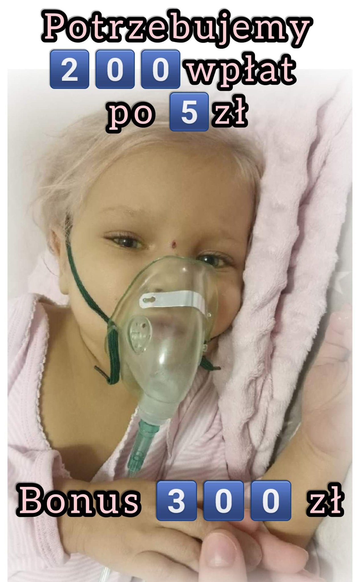 Zdjęcie główne wgrane przez użytkownika