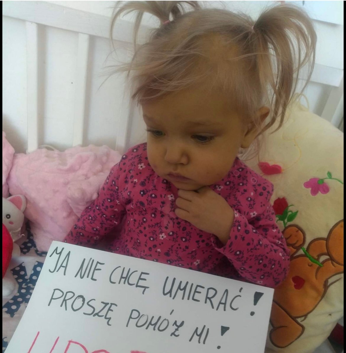 Zdjęcie główne wgrane przez użytkownika