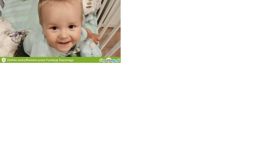 Zdjęcie główne wgrane przez użytkownika