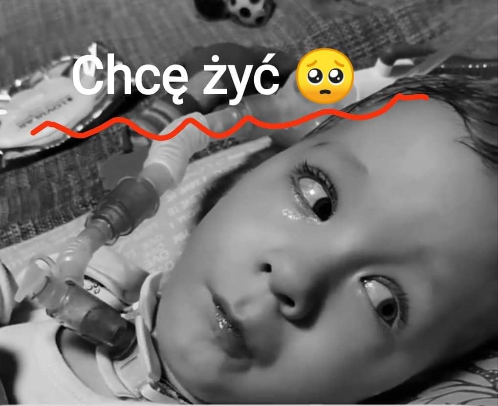 Zdjęcie główne wgrane przez użytkownika