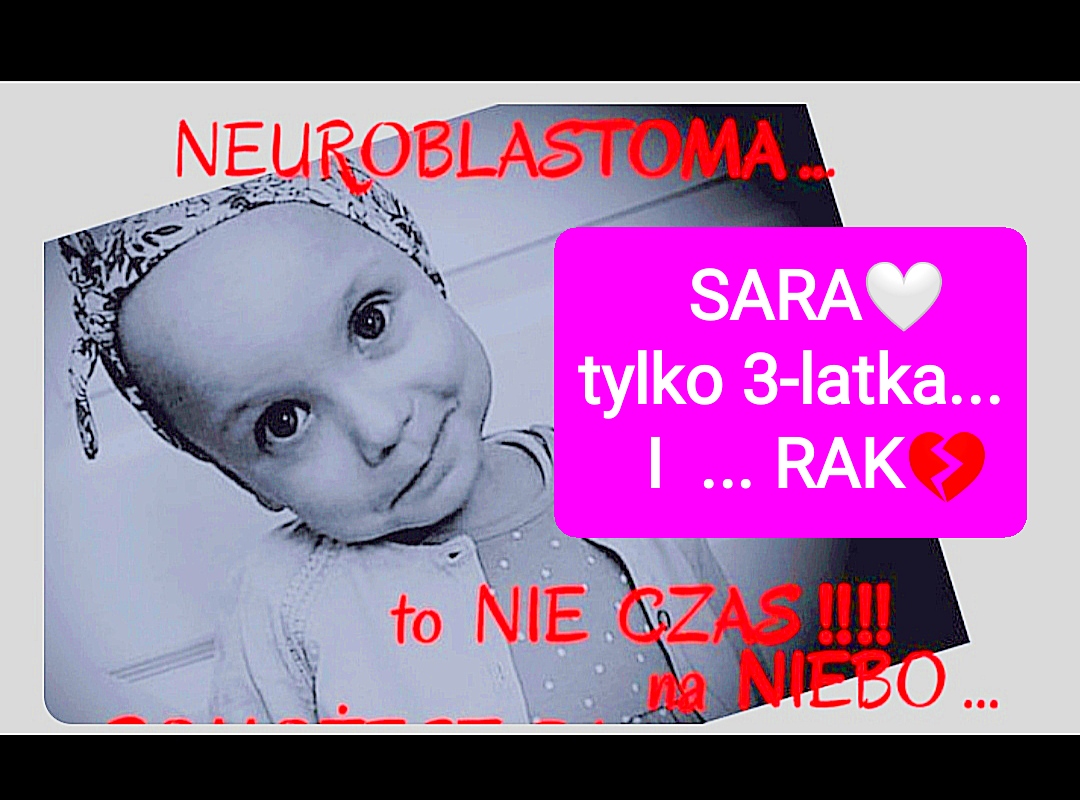 Main photo uploaded by the user