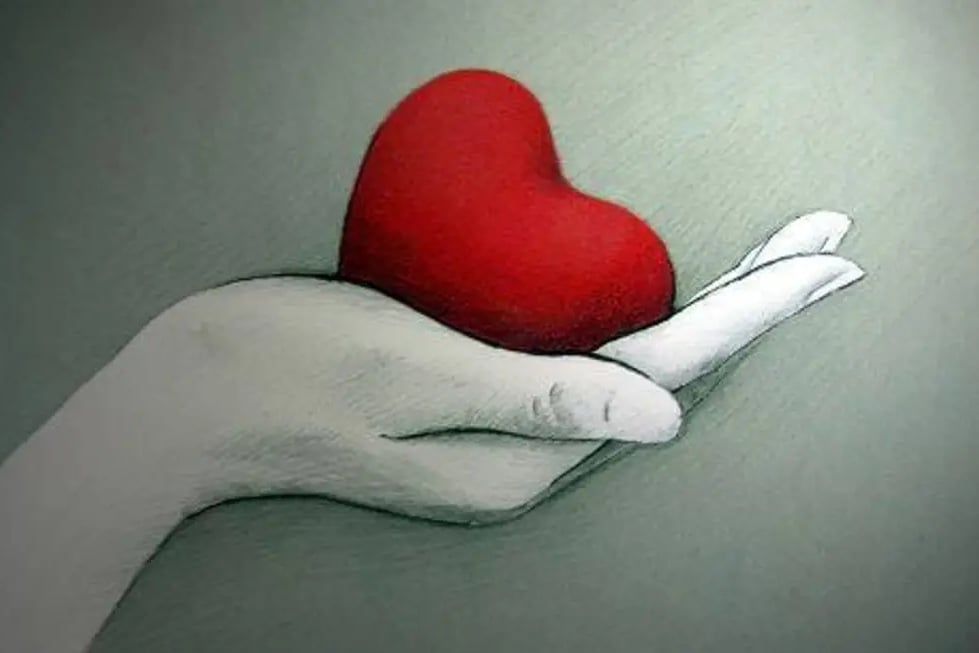 Main photo uploaded by the user