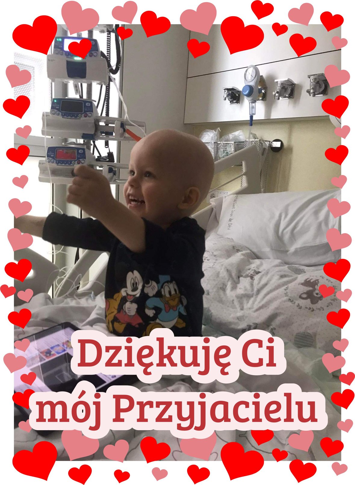 Zdjęcie główne wgrane przez użytkownika