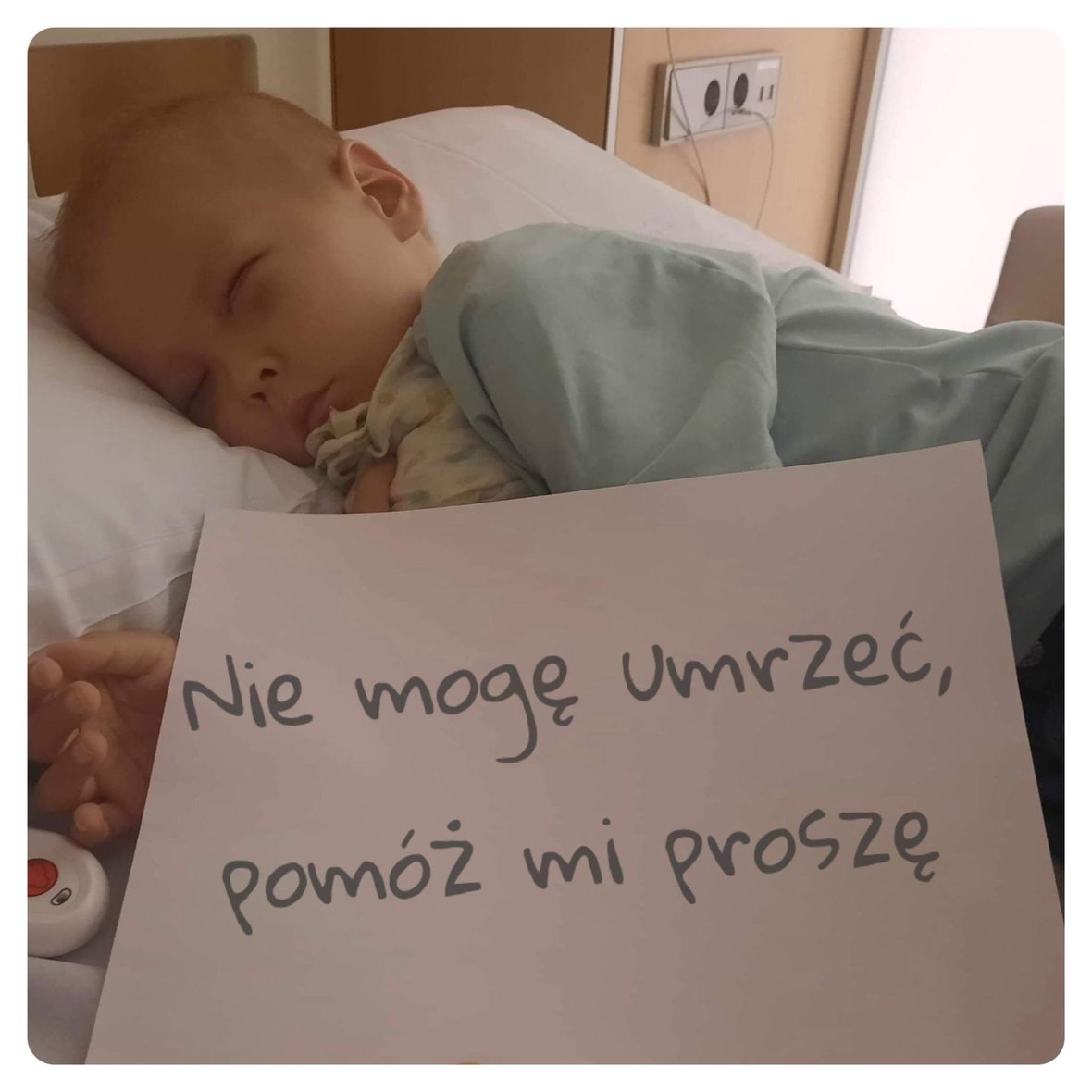 Zdjęcie główne wgrane przez użytkownika