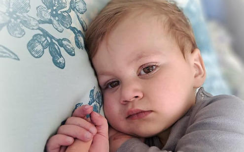 Zdjęcie główne wgrane przez użytkownika