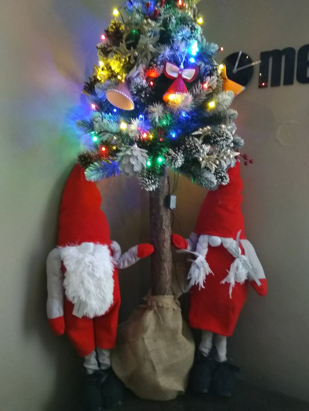 Zdjęcie główne wgrane przez użytkownika