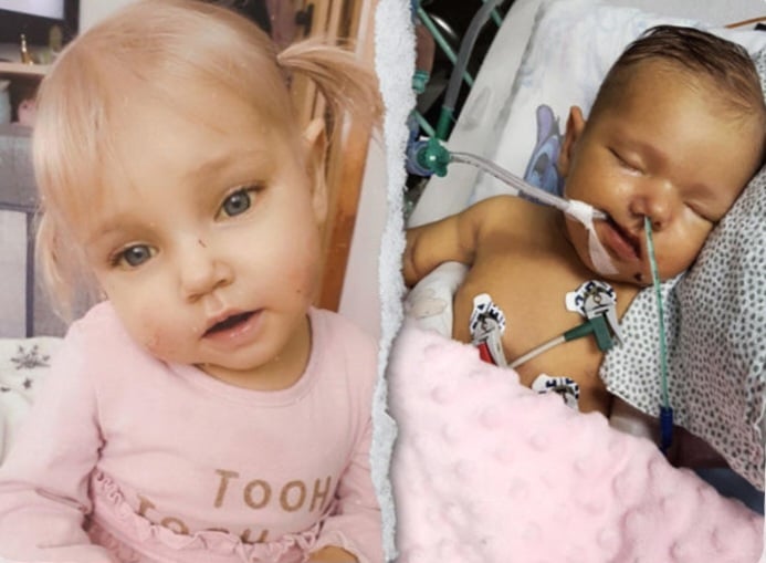 Zdjęcie główne wgrane przez użytkownika