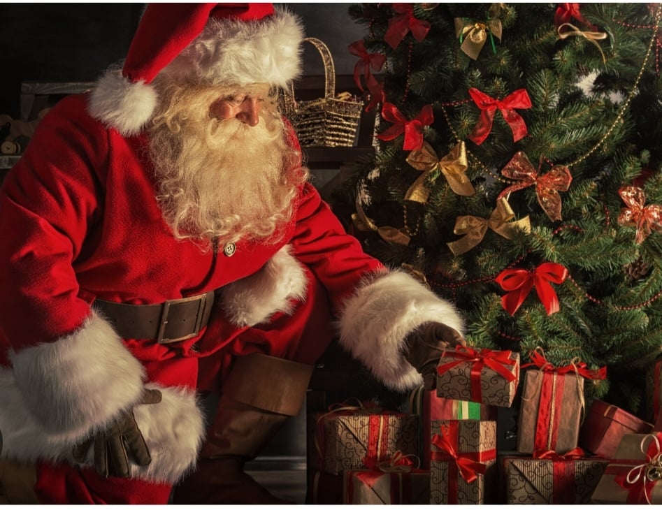 Zdjęcie główne wgrane przez użytkownika