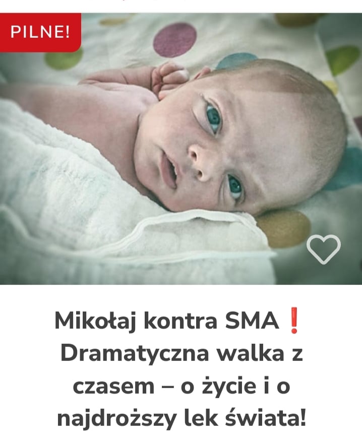 Zdjęcie główne wgrane przez użytkownika