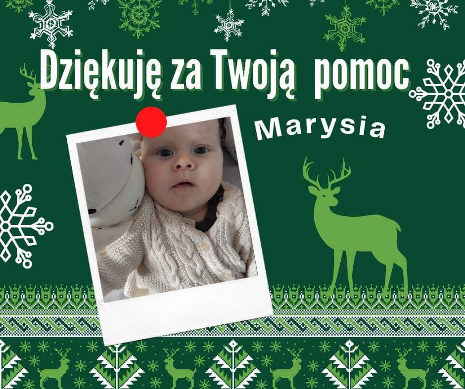 Zdjęcie główne wgrane przez użytkownika