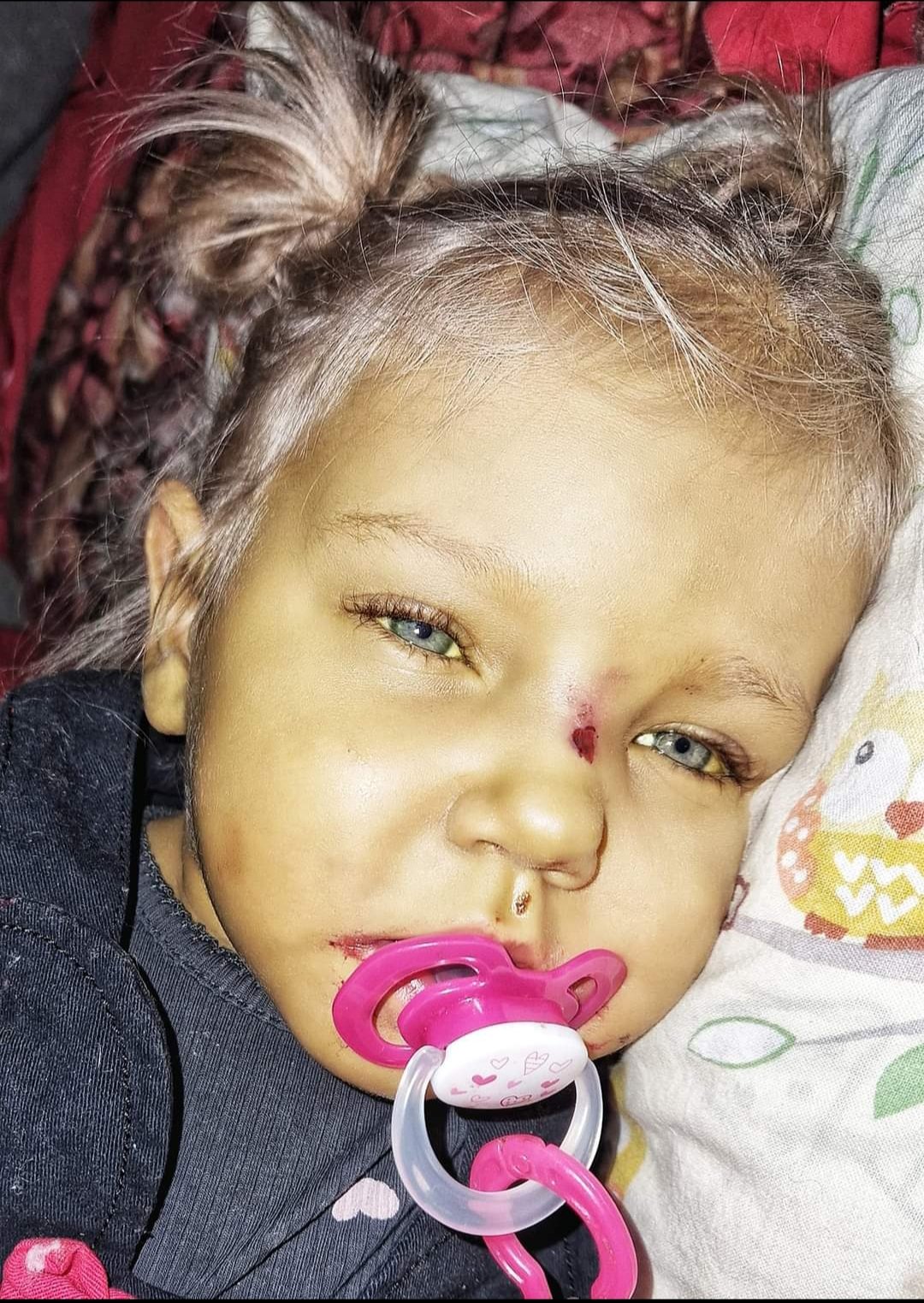 Zdjęcie główne wgrane przez użytkownika