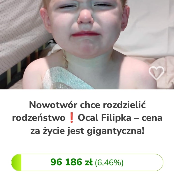 Zdjęcie główne wgrane przez użytkownika