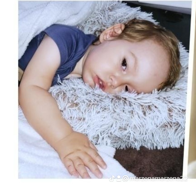 Zdjęcie główne wgrane przez użytkownika