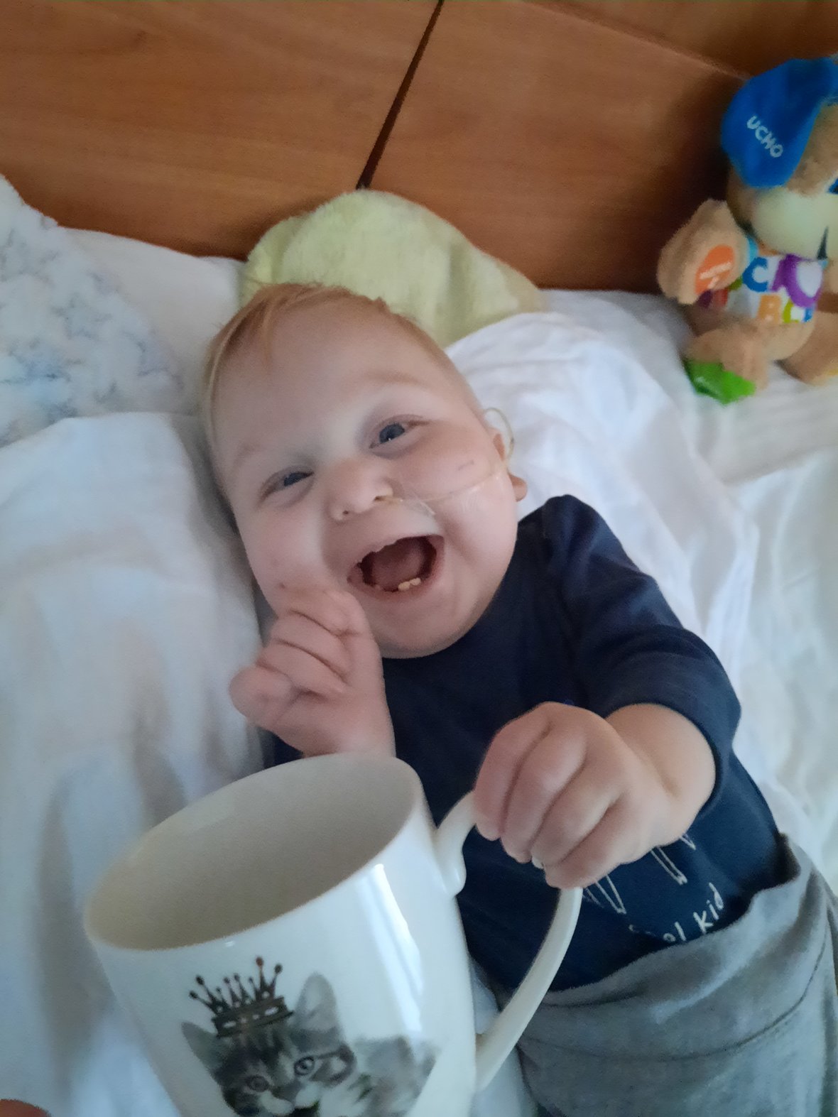 Zdjęcie główne wgrane przez użytkownika