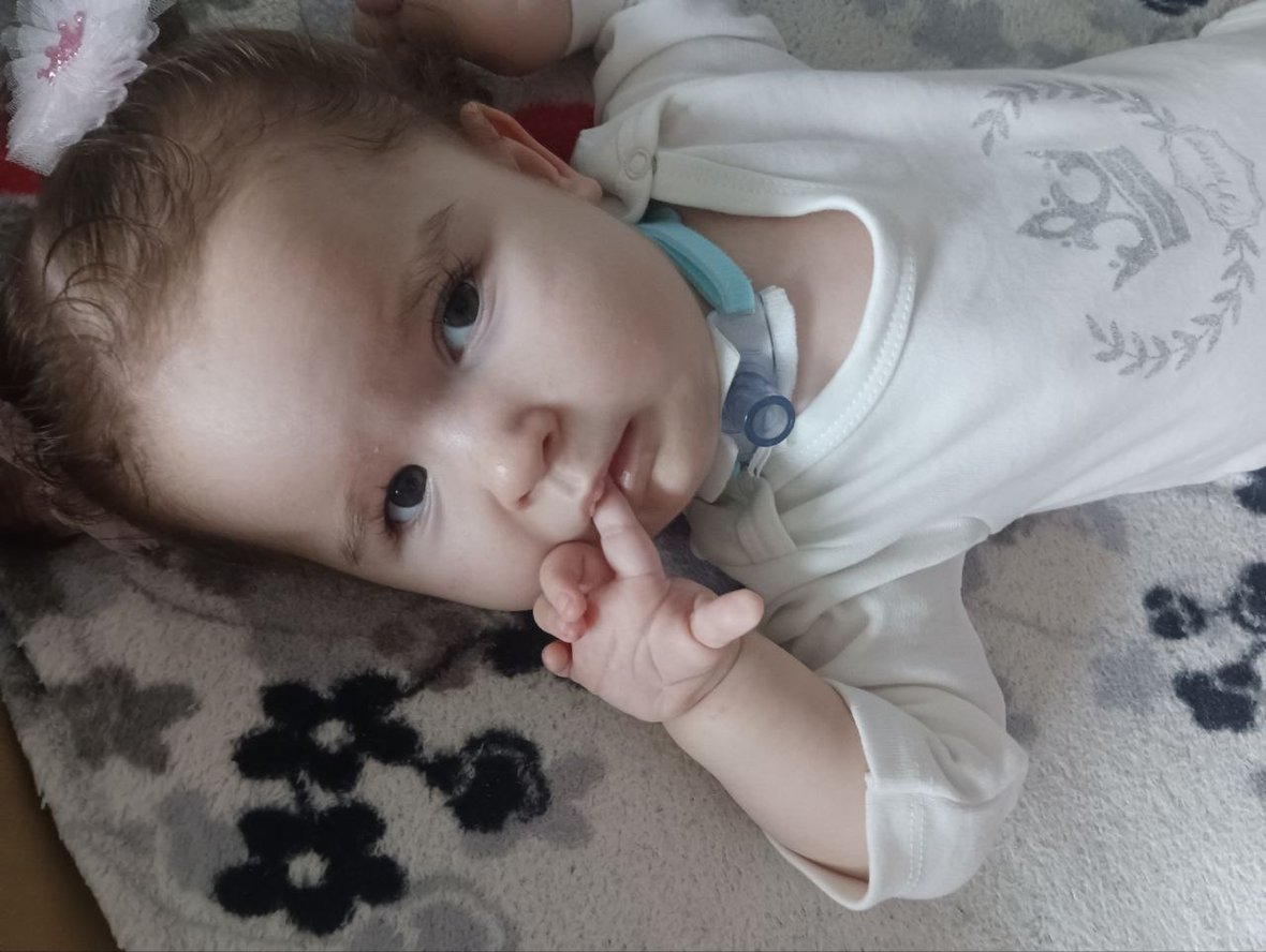 Main photo uploaded by the user