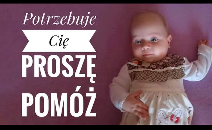 Zdjęcie główne wgrane przez użytkownika
