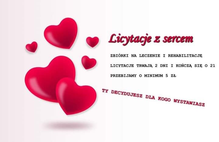 Main photo uploaded by the user