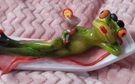 Zdjęcie główne wgrane przez użytkownika