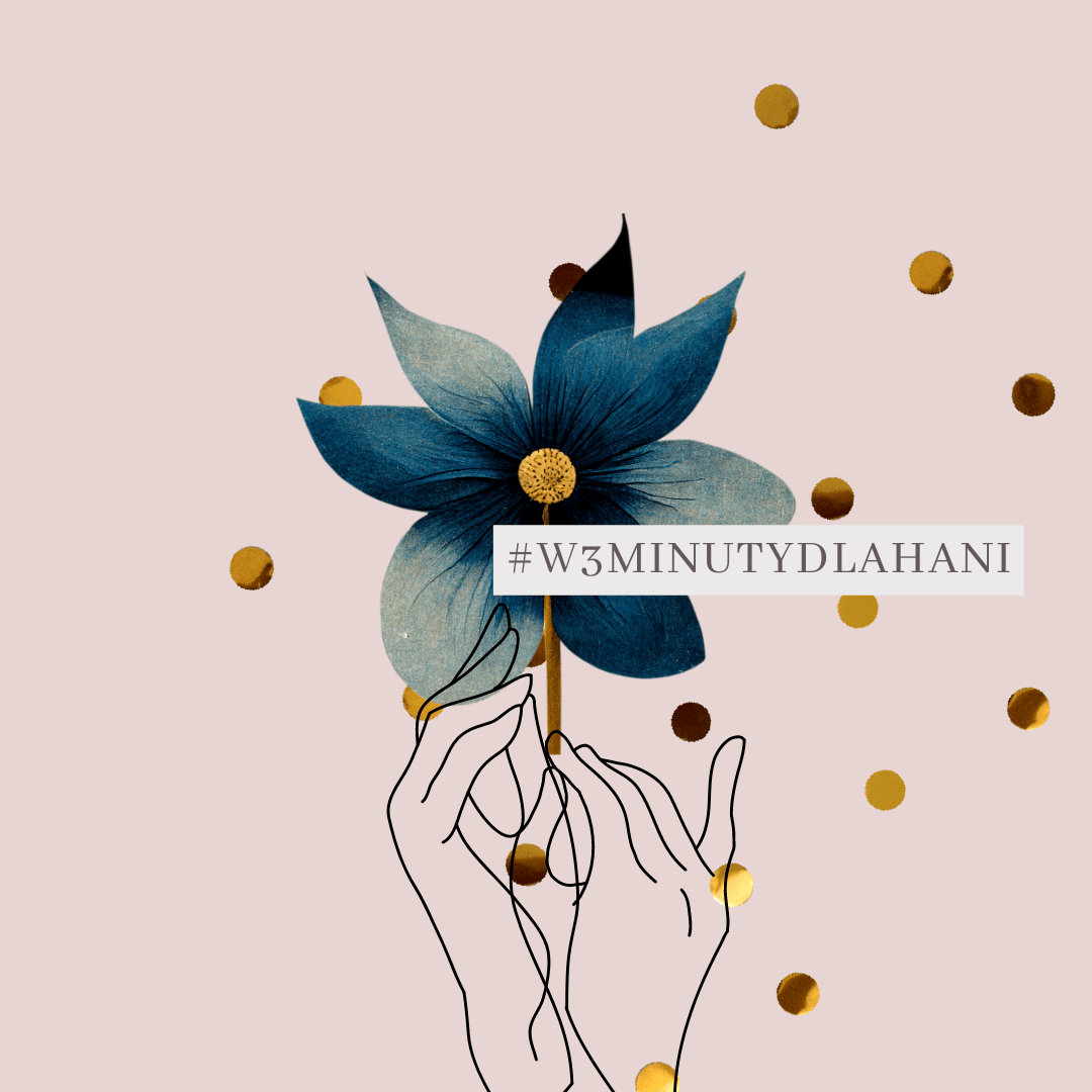 Main photo uploaded by the user