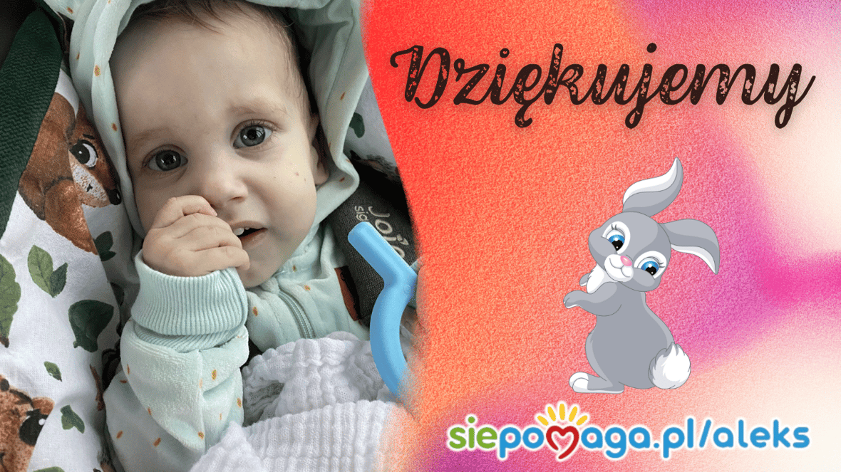 Main photo uploaded by the user