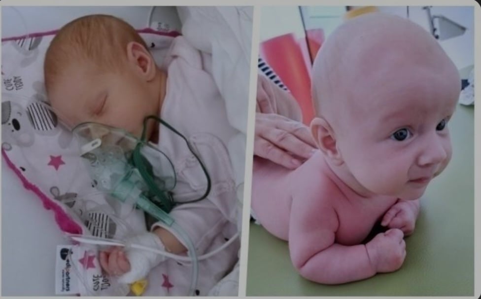 Zdjęcie główne wgrane przez użytkownika