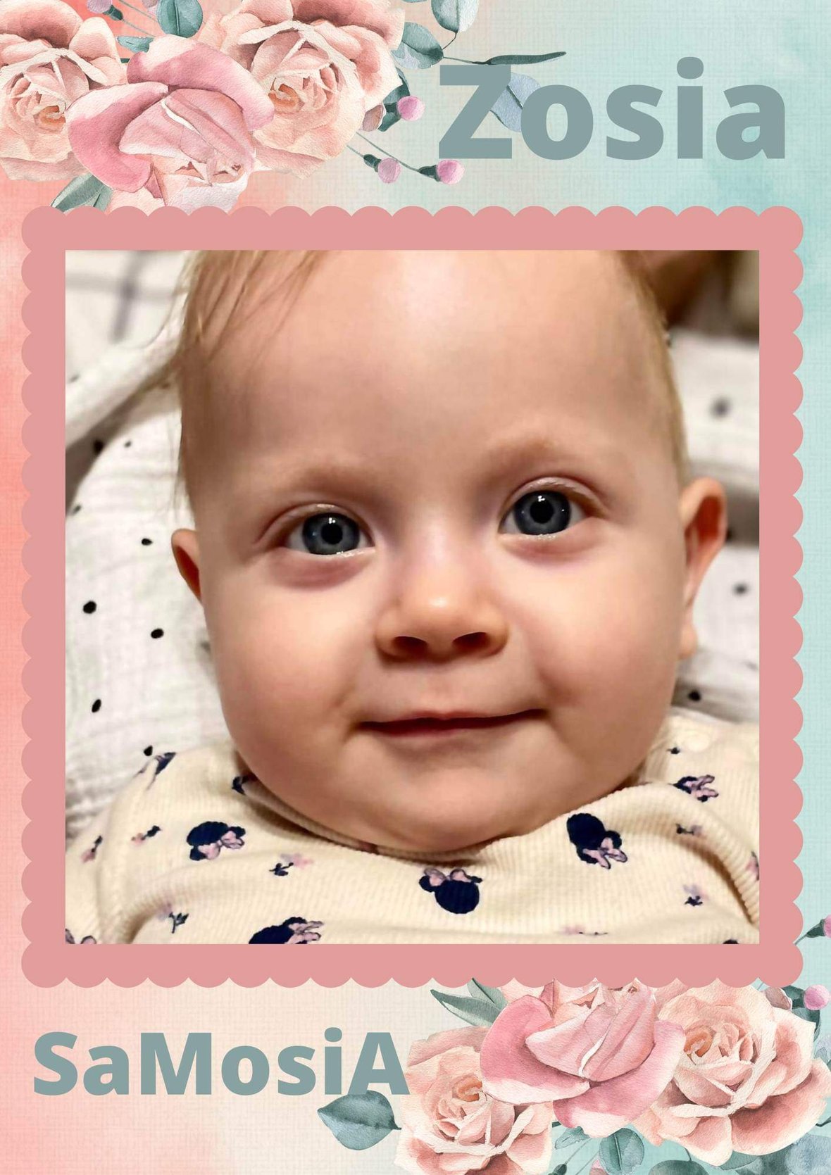 Zdjęcie główne wgrane przez użytkownika