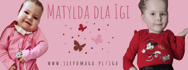 Main photo uploaded by the user