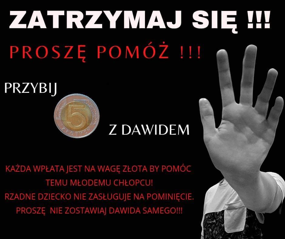 Zdjęcie główne wgrane przez użytkownika