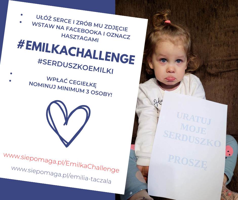 Zdjęcie główne wgrane przez użytkownika