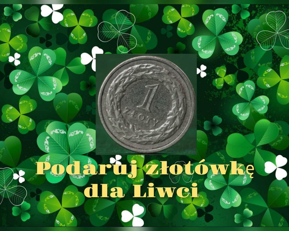 Zdjęcie główne wgrane przez użytkownika