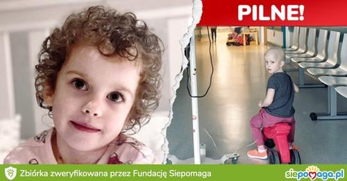 Zdjęcie główne wgrane przez użytkownika