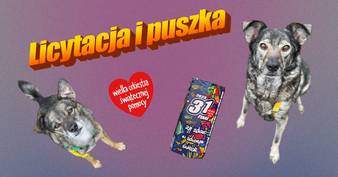 Main photo uploaded by the user