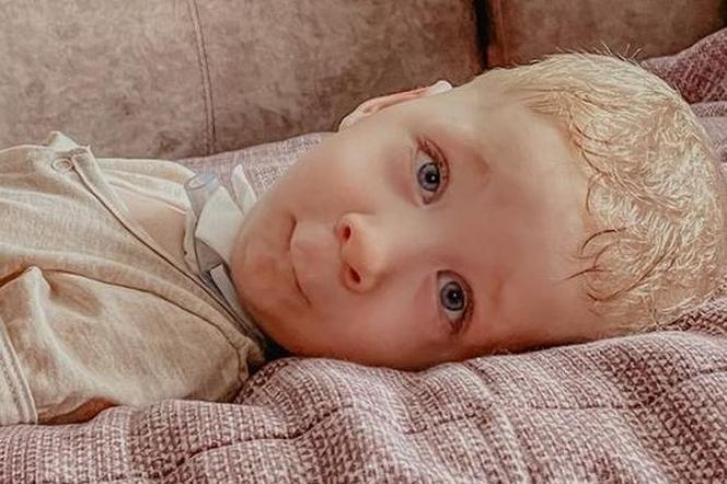 Zdjęcie główne wgrane przez użytkownika