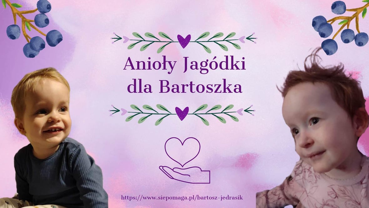 Zdjęcie główne wgrane przez użytkownika