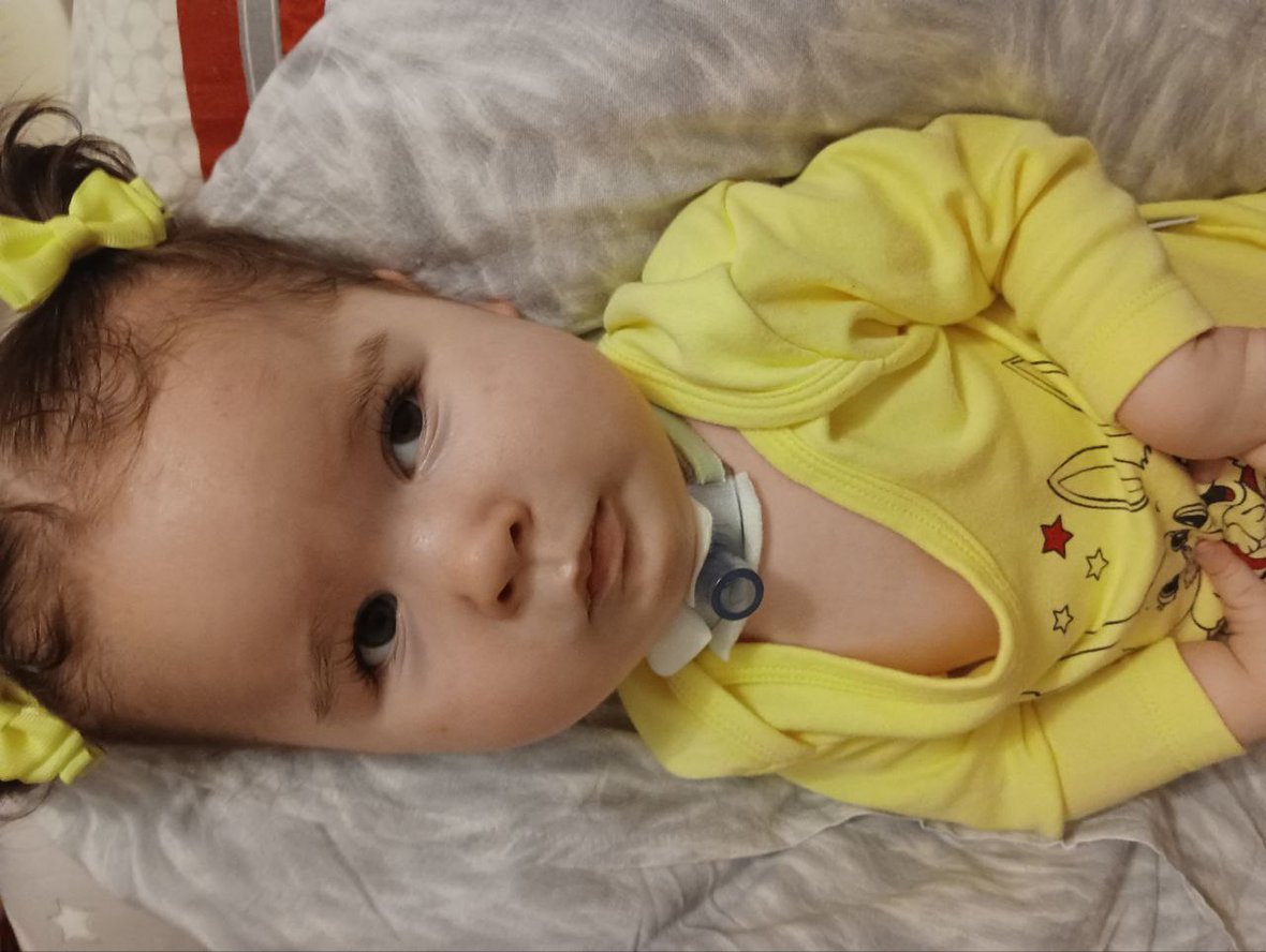 Zdjęcie główne wgrane przez użytkownika