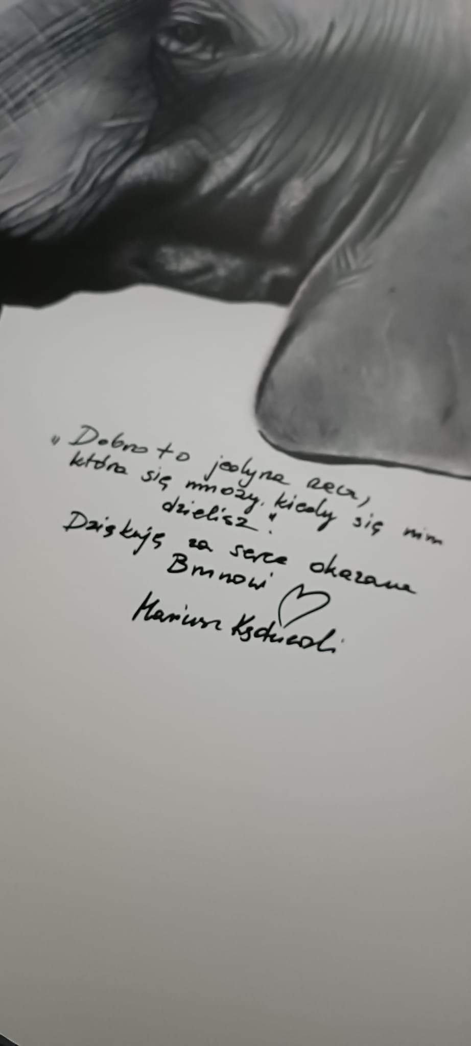 Zdjęcie główne wgrane przez użytkownika